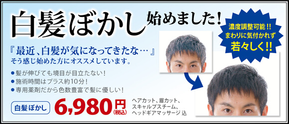 白髪ぼかし始めました!